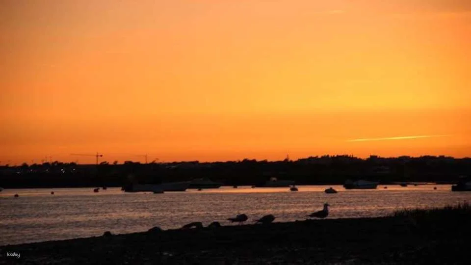 Ria Formosa sunset boat tour from Faro