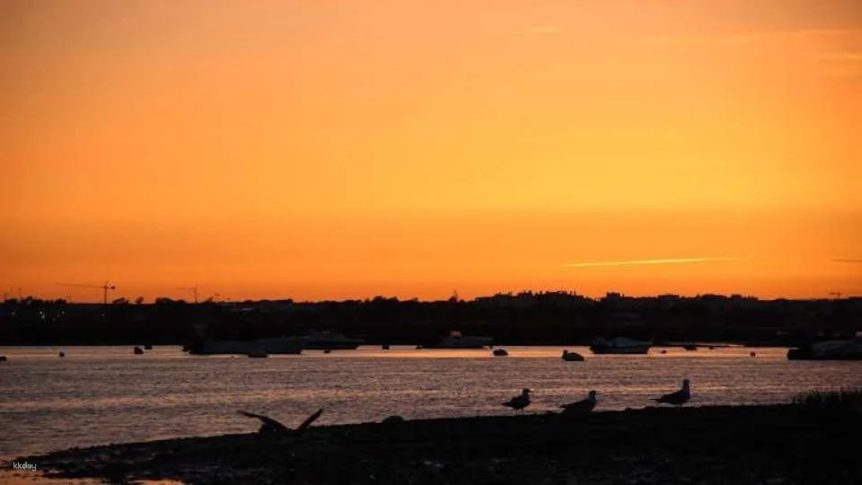 Ria Formosa sunset boat tour from Faro