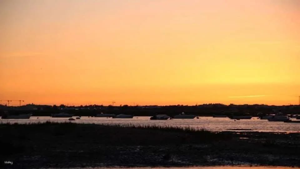 Ria Formosa sunset boat tour from Faro