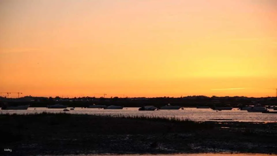 Ria Formosa sunset boat tour from Faro