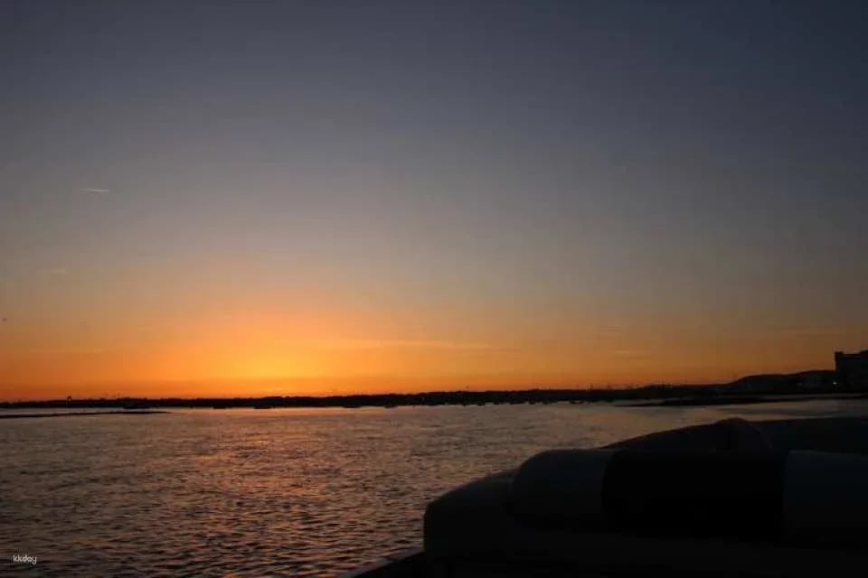 Ria Formosa sunset boat tour from Faro