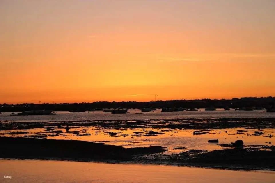 Ria Formosa sunset boat tour from Faro