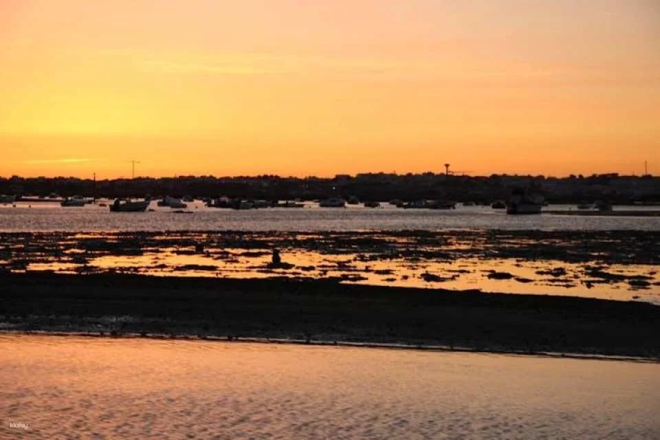 Ria Formosa sunset boat tour from Faro