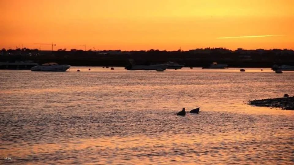 Ria Formosa sunset boat tour from Faro