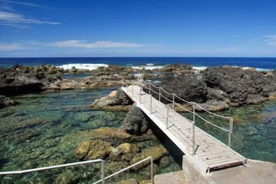 Terceira lava route full-day tour with wine tasting experience (606003)