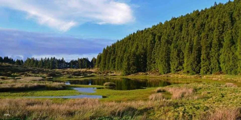 Terceira lava route full-day tour with wine tasting experience