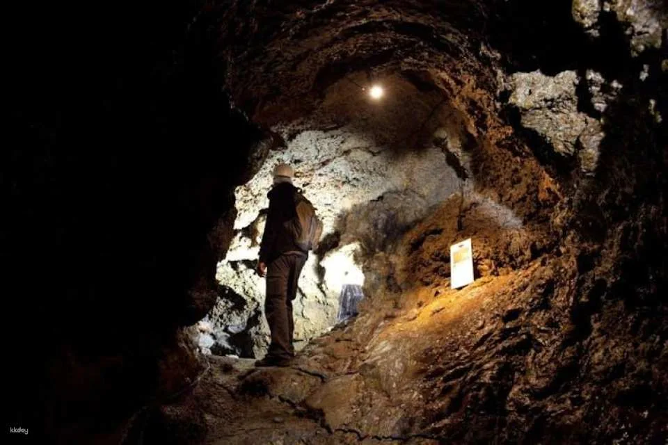 Terceira lava route full-day tour with wine tasting experience