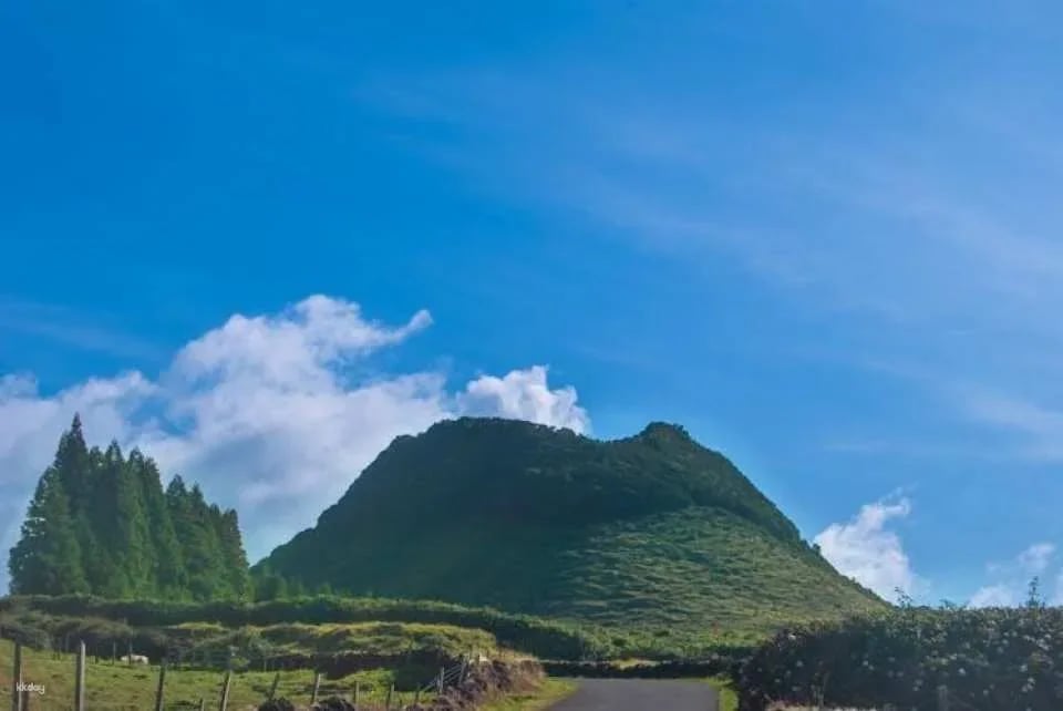 Terceira lava route full-day tour with wine tasting experience