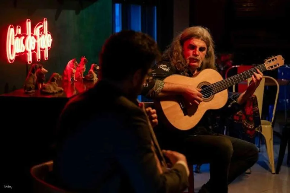 Traditional fado show with local artists in Porto