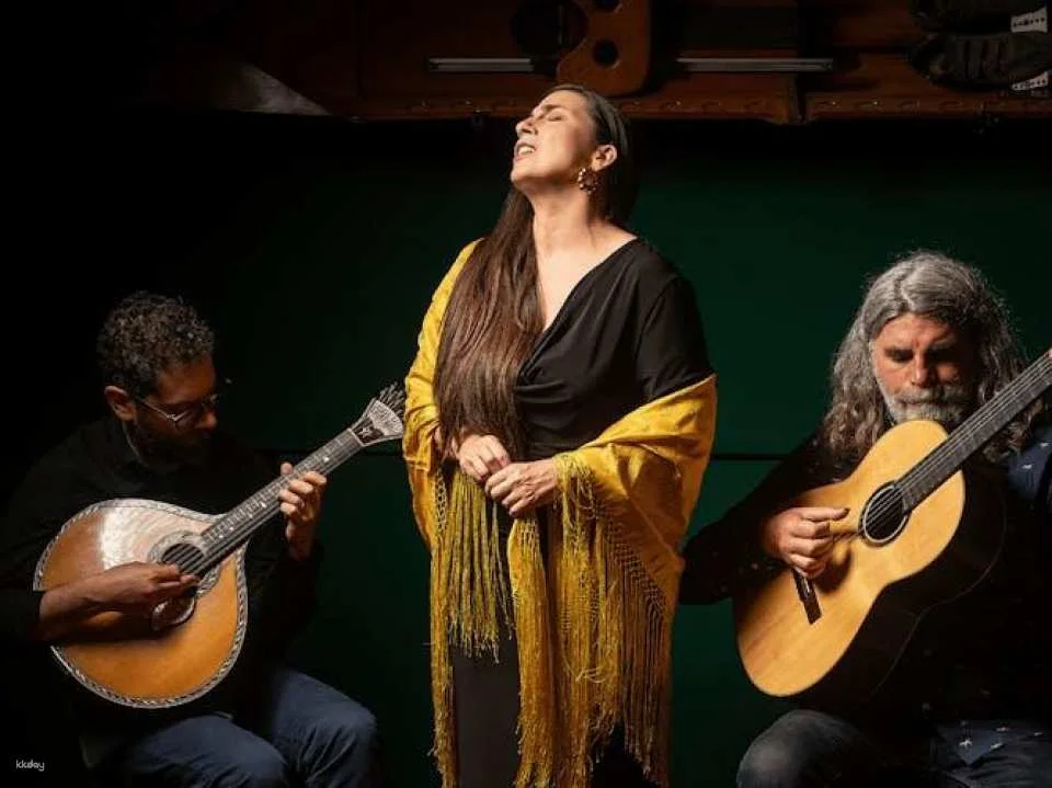 Traditional fado show with local artists in Porto