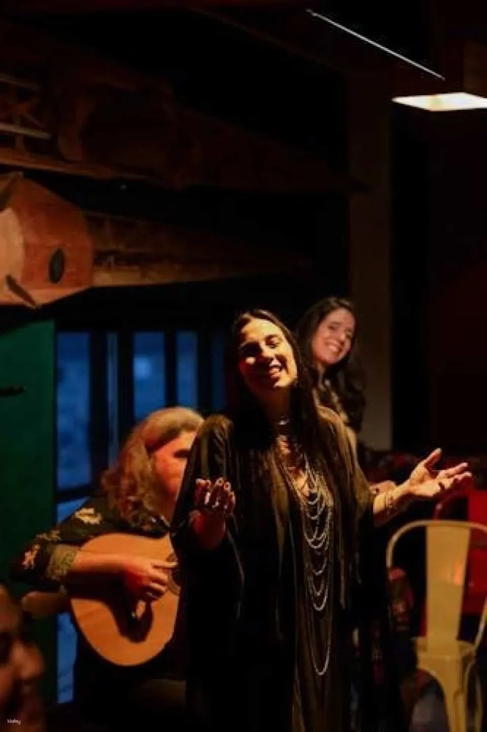 Traditional fado show with local artists in Porto