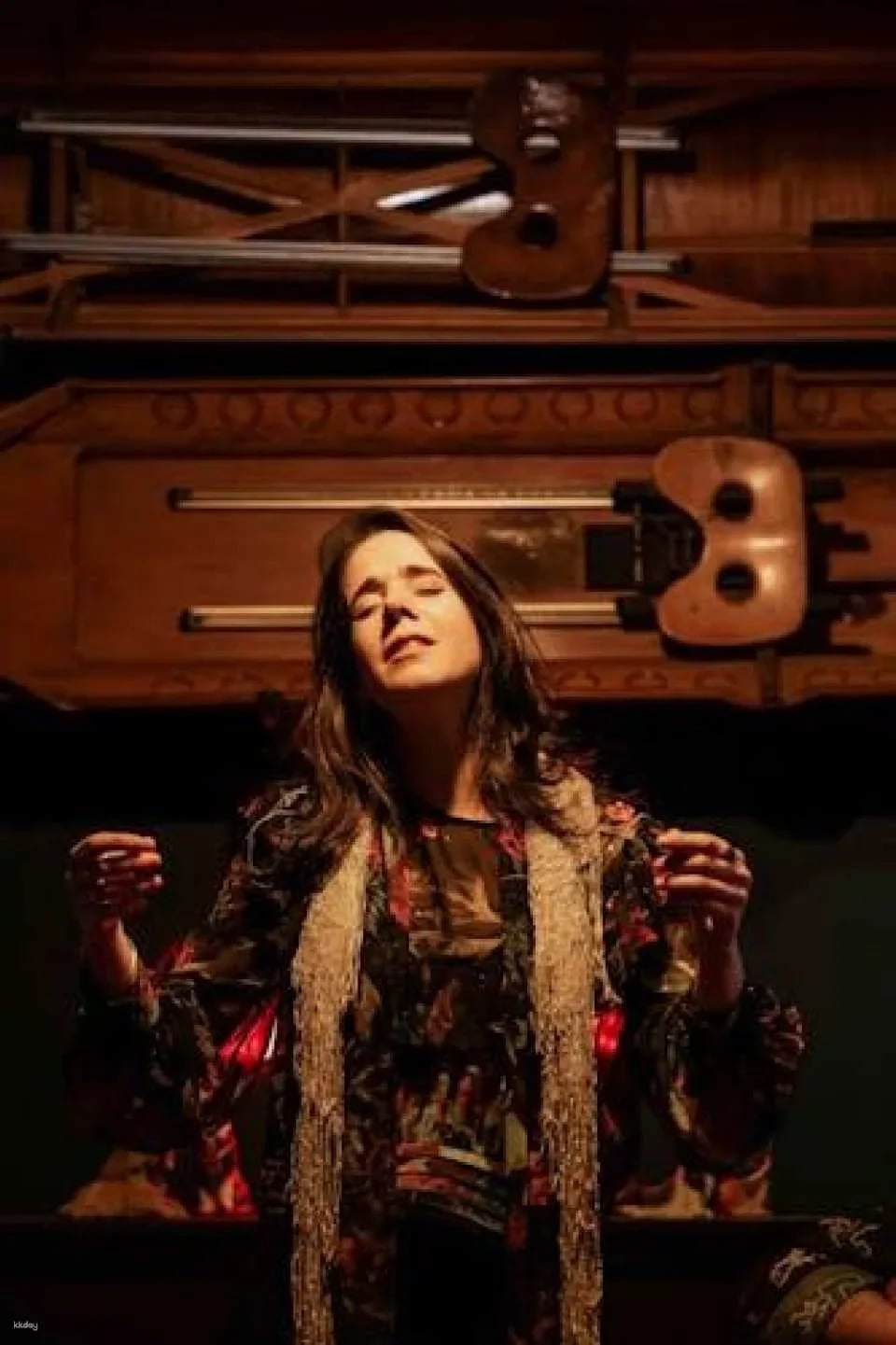 Traditional fado show with local artists in Porto