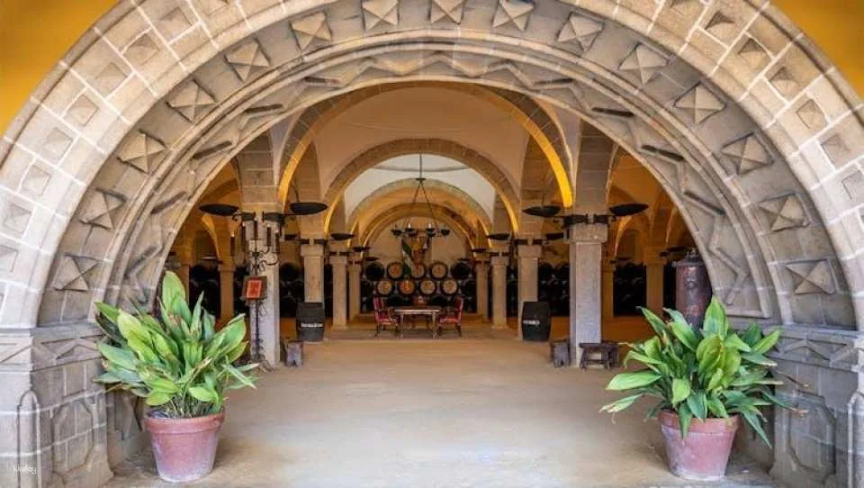 Guided walking tour of Jerez with sherry wine tasting