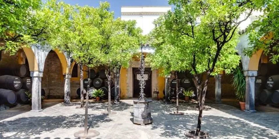 Guided walking tour of Jerez with sherry wine tasting