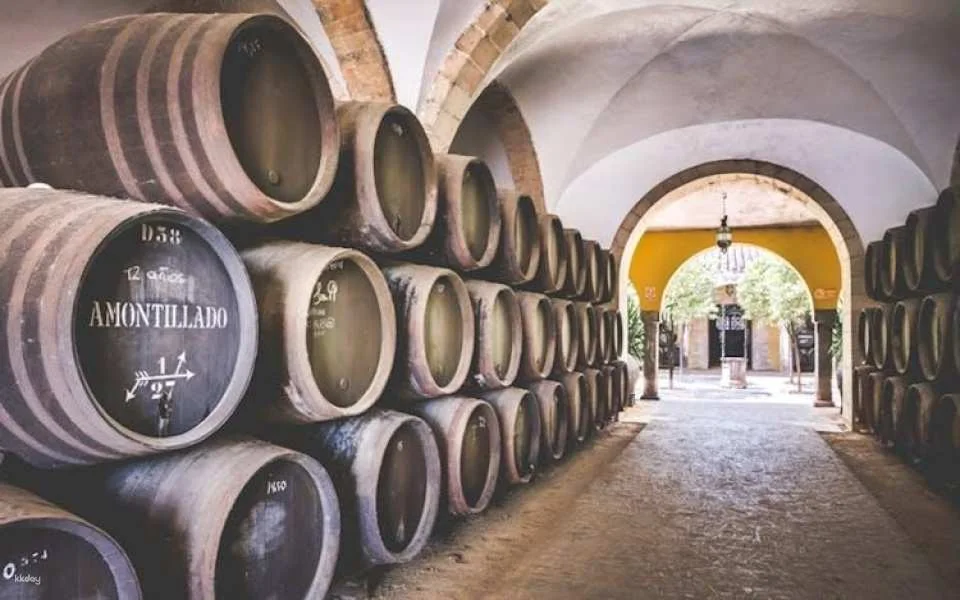 Guided walking tour of Jerez with sherry wine tasting