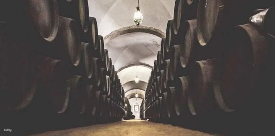 Guided walking tour of Jerez with sherry wine tasting