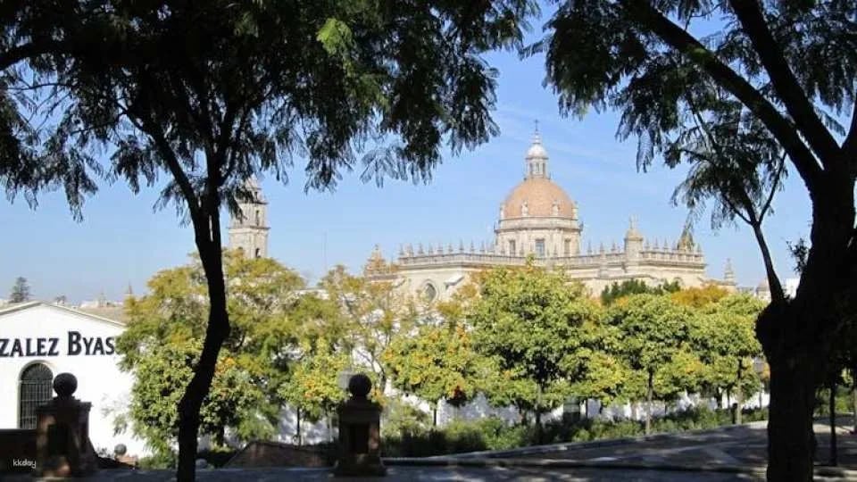 Guided walking tour of Jerez with sherry wine tasting