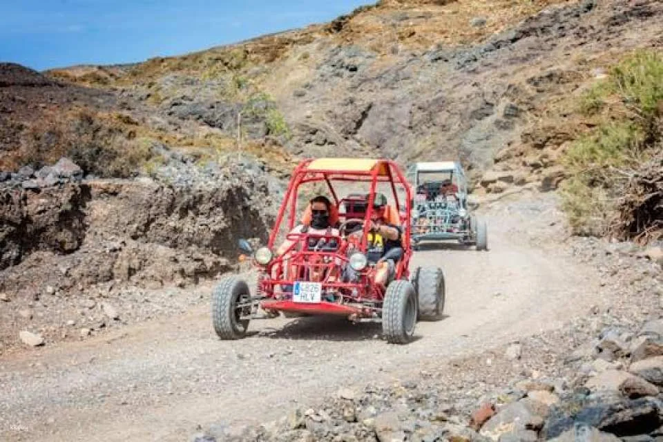 Fuerteventura Buggy Safari & Corralejo Combo (606034)