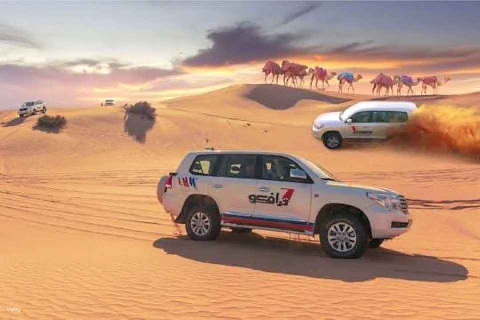 Dune dinner safari at Bassata Camp from Ajman (606100)