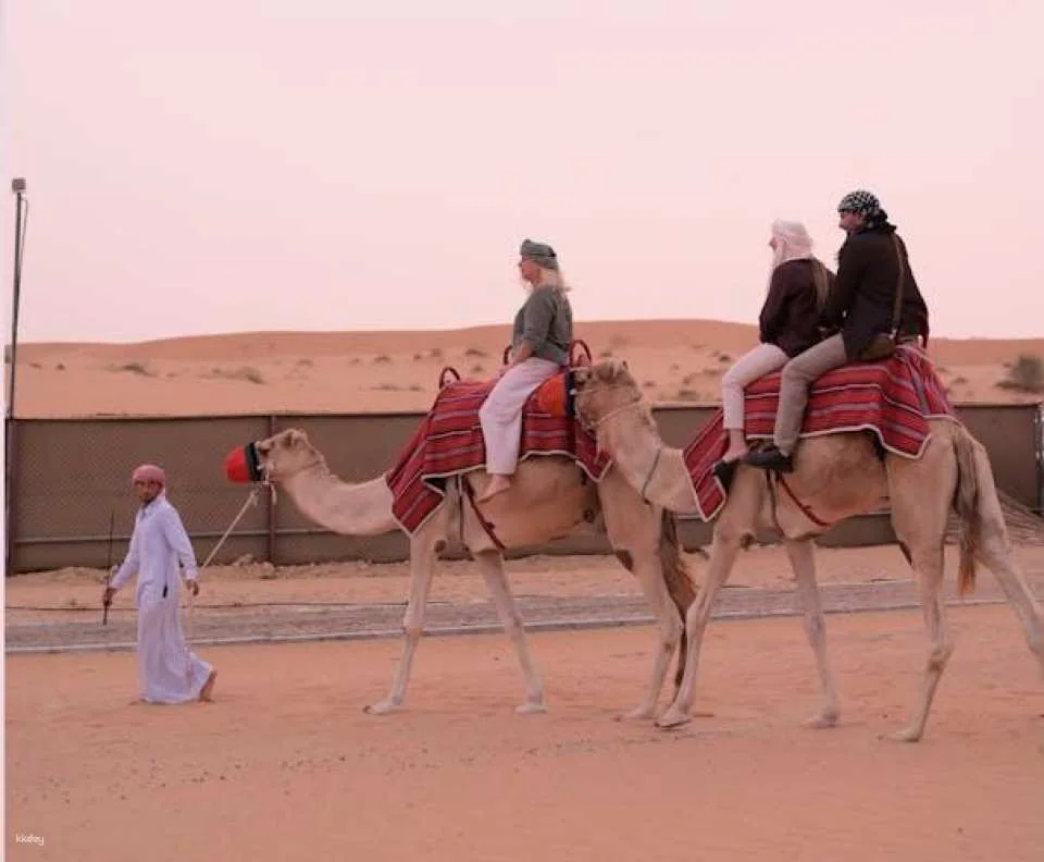 Dune dinner safari at Bassata Camp from Ajman