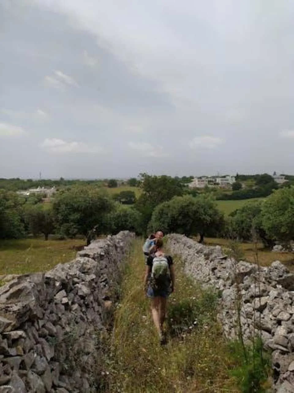 Trekking and dry stone wall lesson in the Valle d’Itria