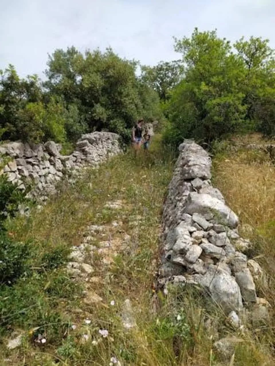 Trekking and dry stone wall lesson in the Valle d’Itria