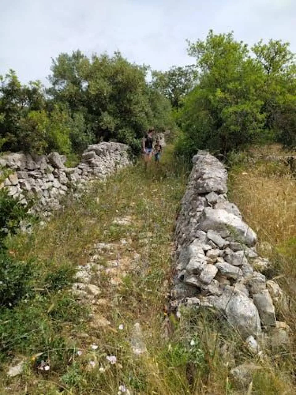 Trekking and dry stone wall lesson in the Valle d’Itria