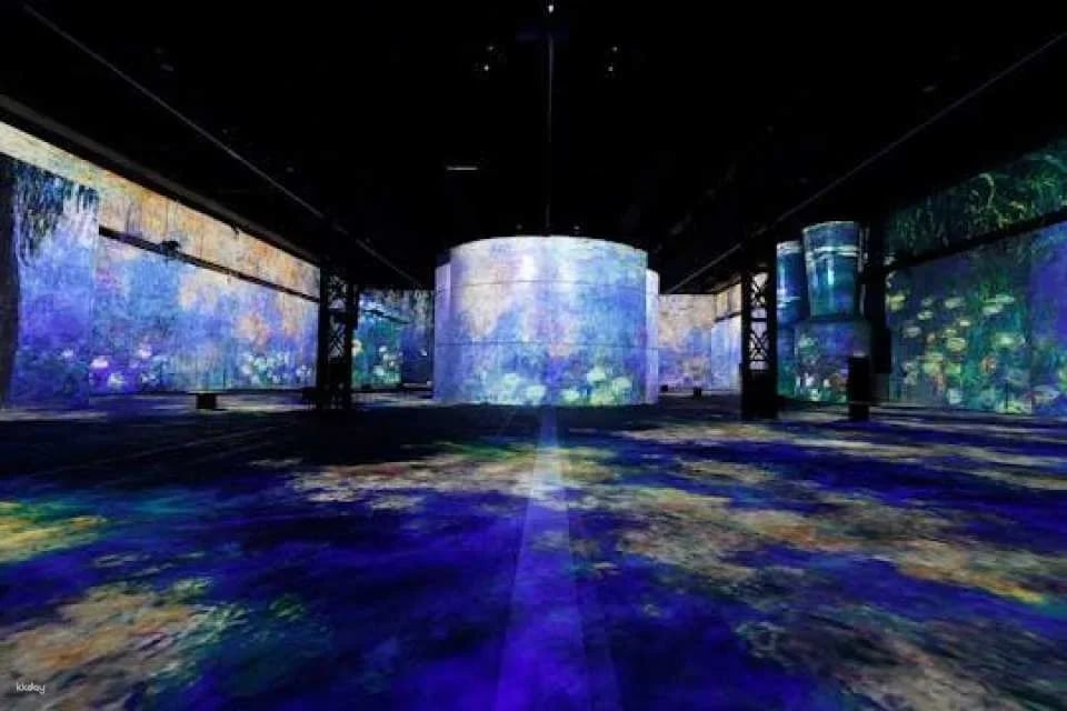 Phoenix des Lumières Permanent Exhibition Entry Tickets