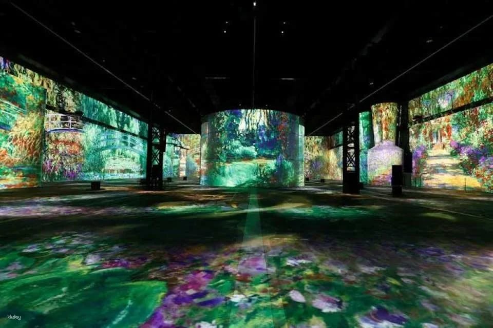 Phoenix des Lumières Permanent Exhibition Entry Tickets