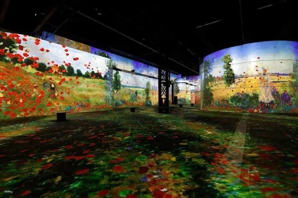 Phoenix des Lumières Permanent Exhibition Entry Tickets