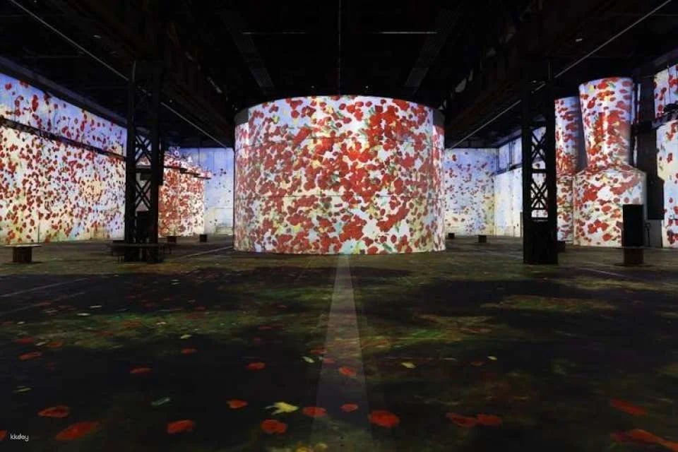 Phoenix des Lumières Permanent Exhibition Entry Tickets
