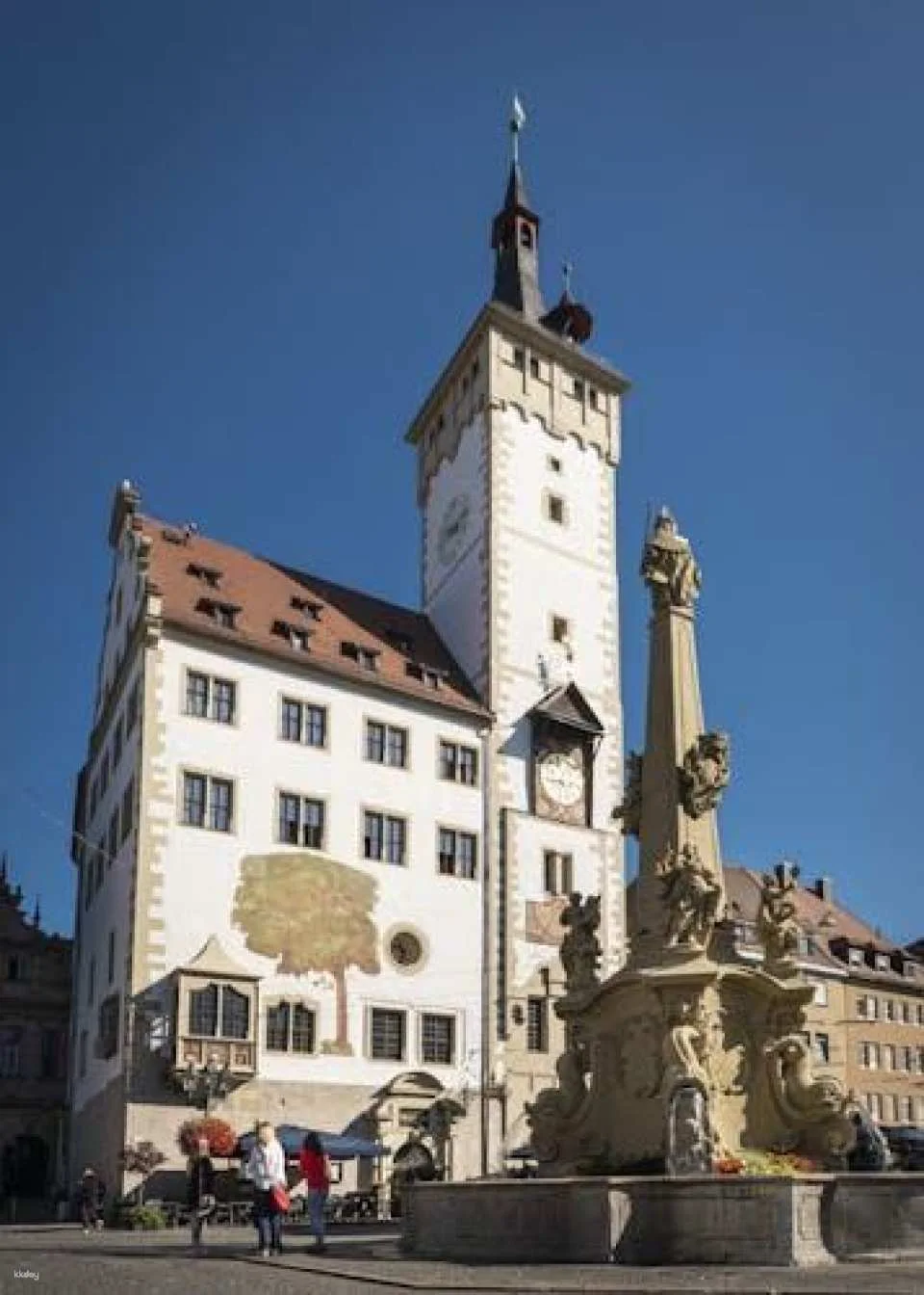Würzburg's historic landmarks guided walking tour