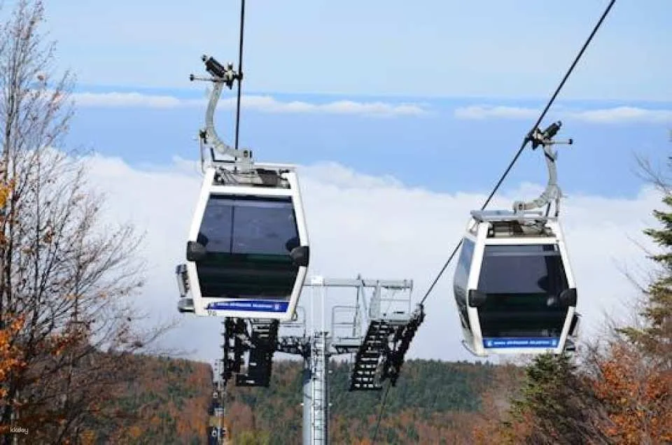 Green Bursa tour and cable car to Mount Olympos (606261)