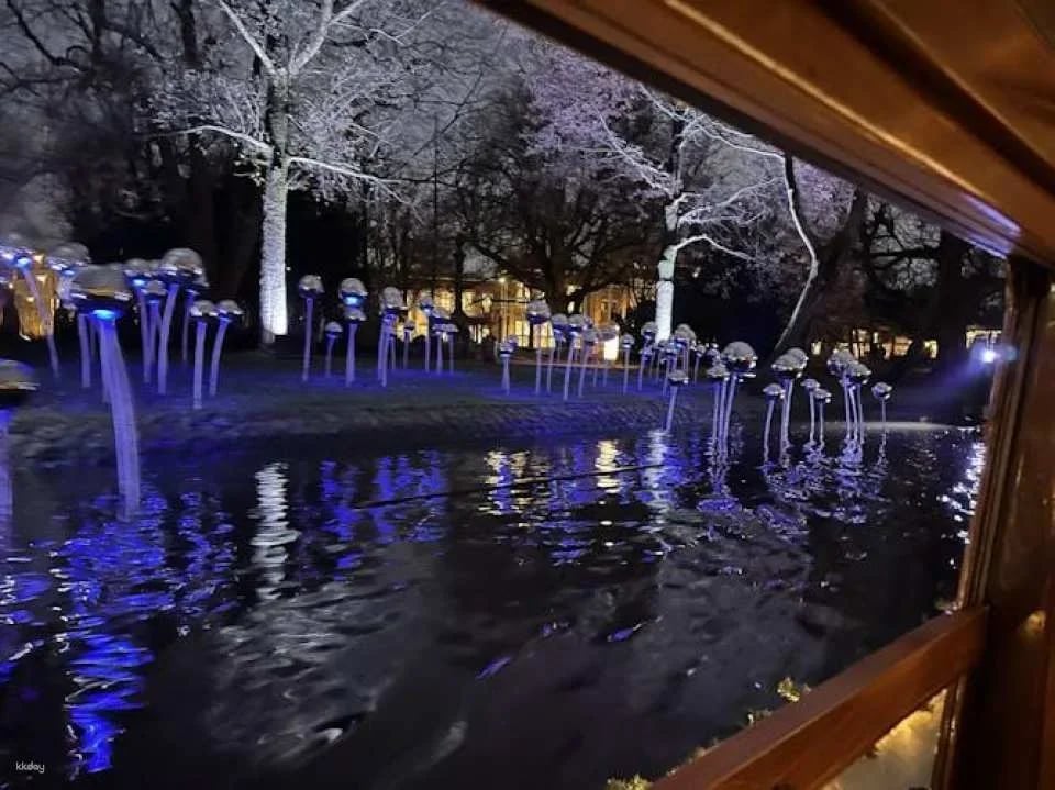 Boat tour through the Amsterdam Light Festival