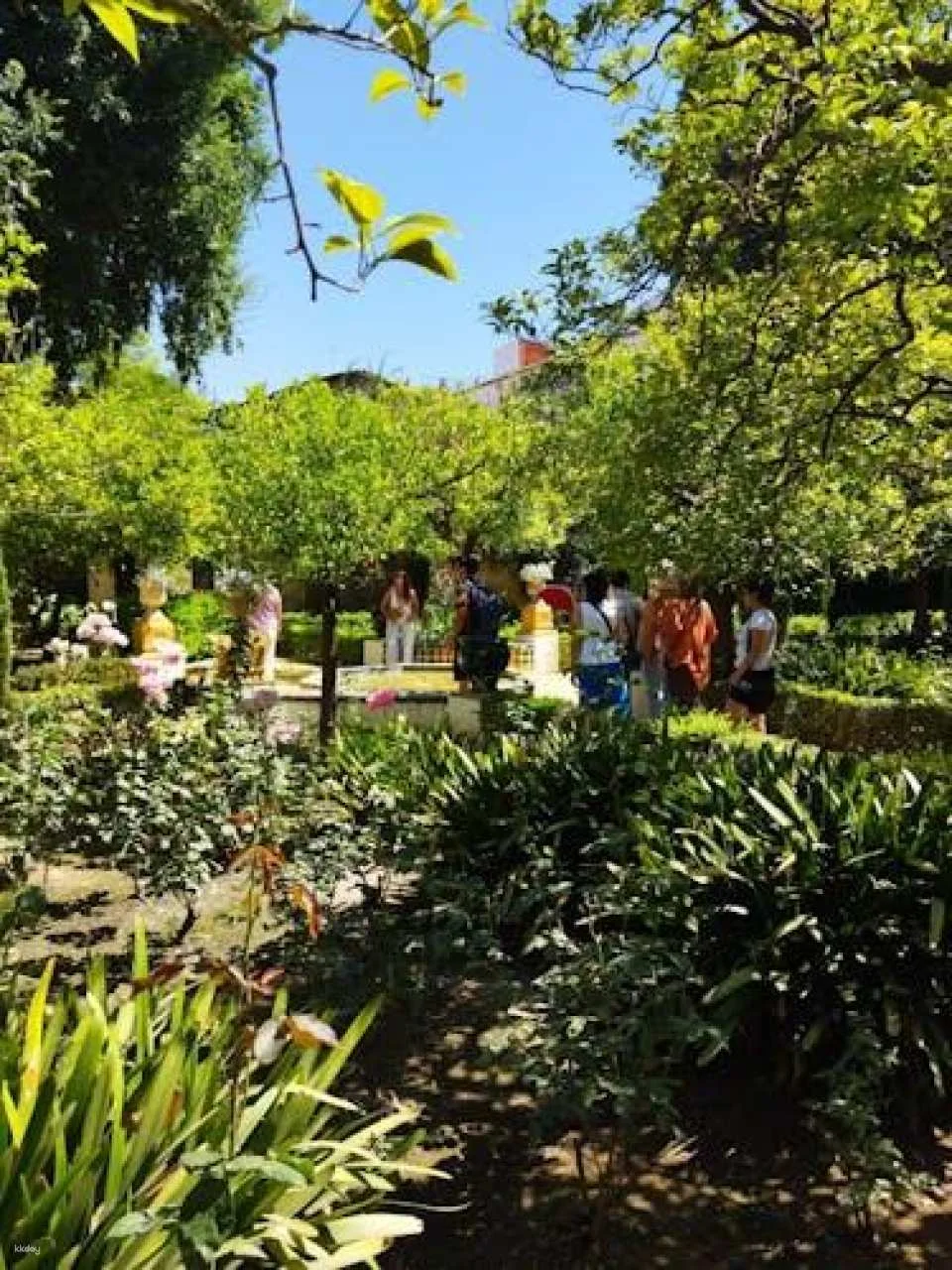 Seville Heritage Guided Tour with Macarena Quarter, Moorish Churches and Palaces