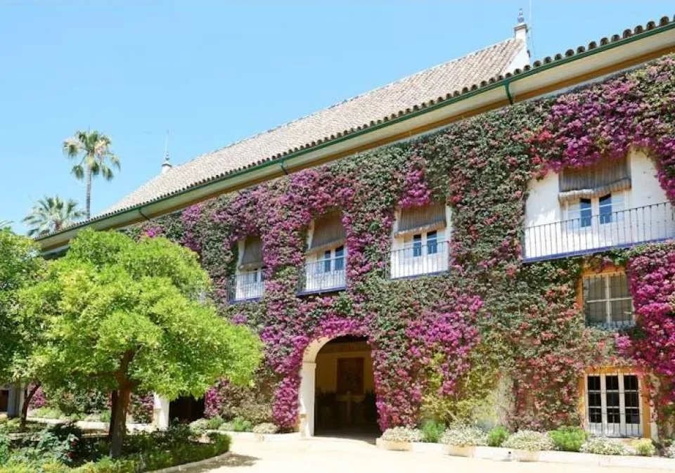 Seville Heritage Guided Tour with Macarena Quarter, Moorish Churches and Palaces