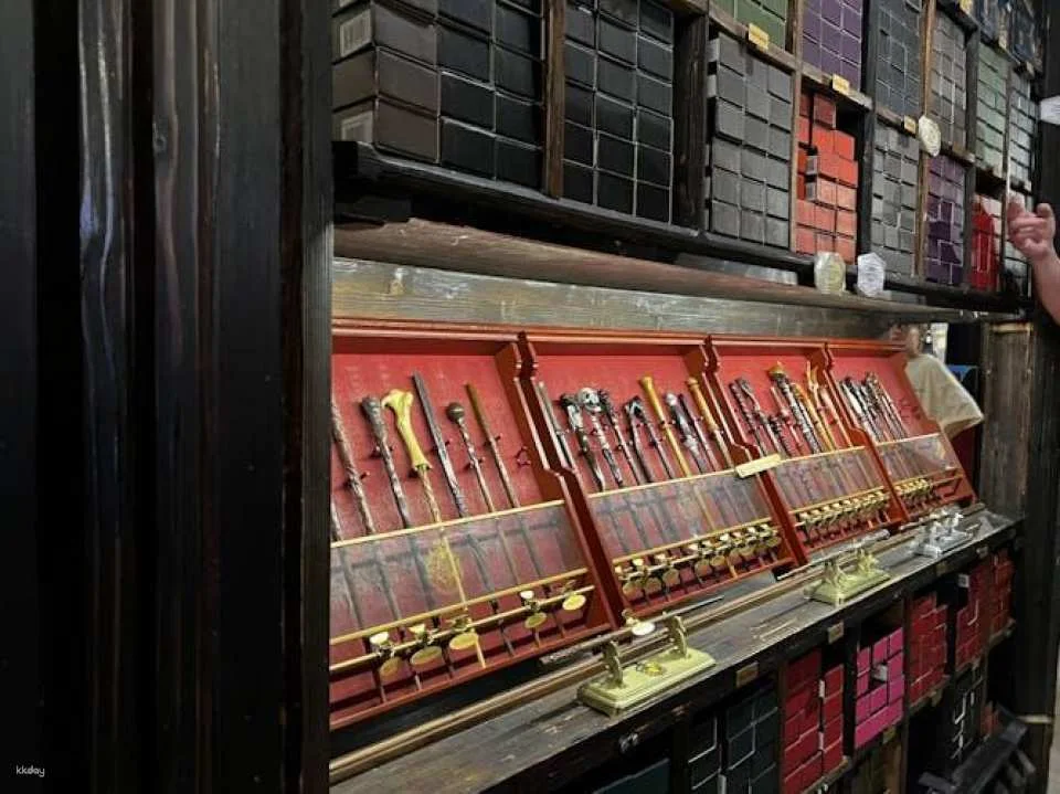 Harry Potter Walking Tour with Thames Cruise and Tower of London