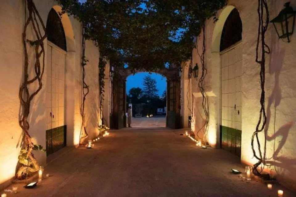Premium sensory wine tour
