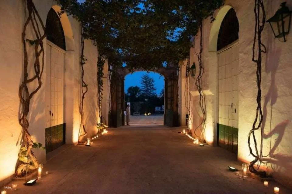 Premium sensory wine tour