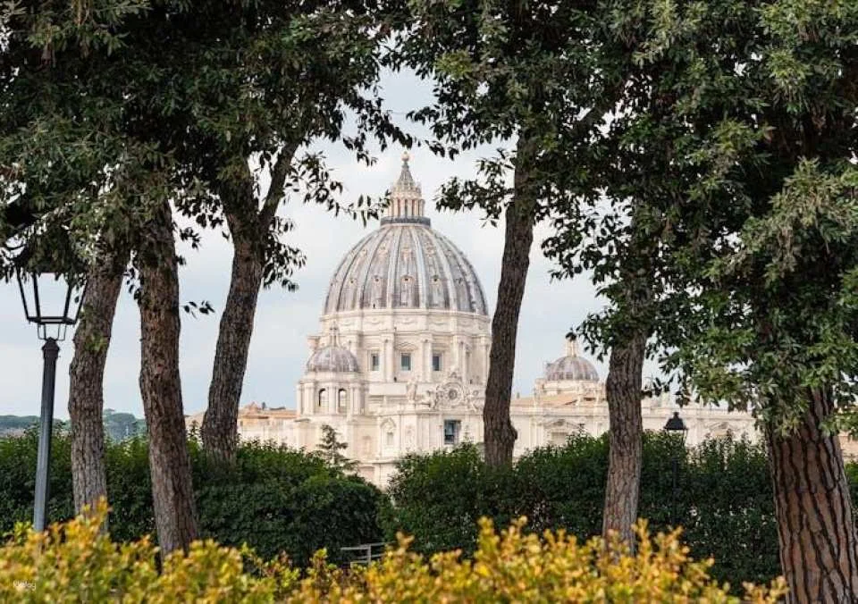 St. Peter's Basilica with reserved entry and lift to the Dome