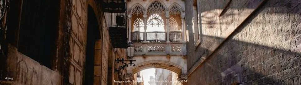 The historic heart of Barcelona: family-friendly private tour