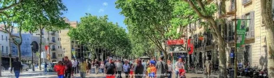 The historic heart of Barcelona: family-friendly private tour