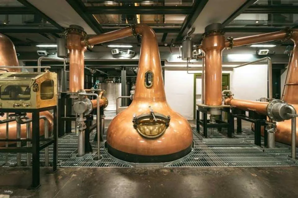 McConnell's distillery experience with tasting