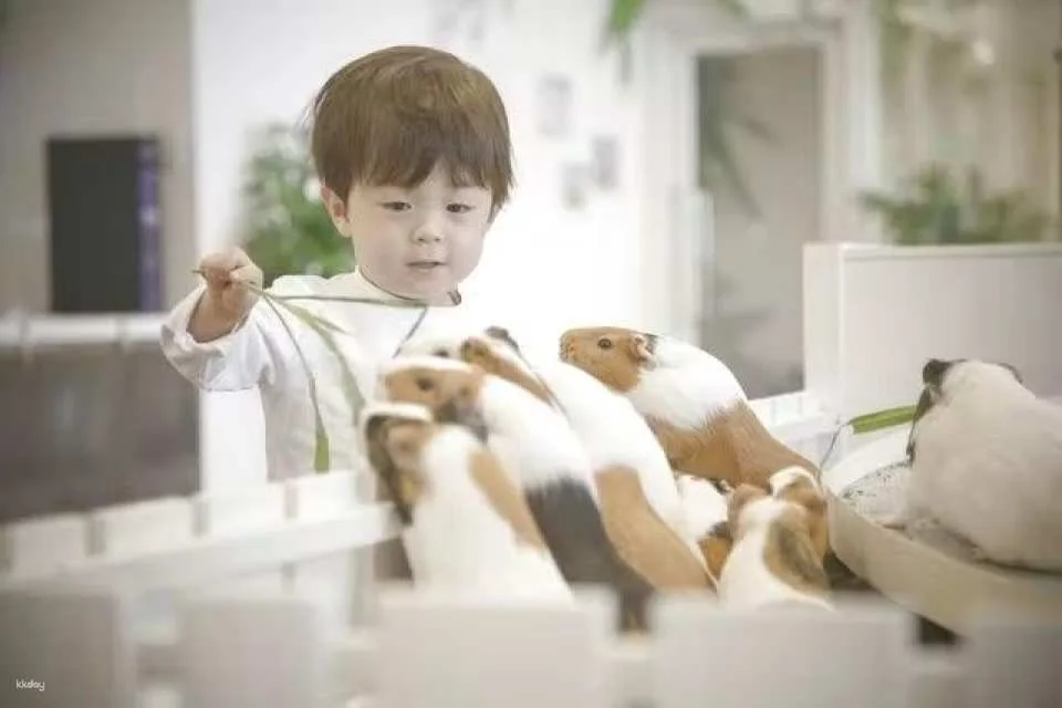 Yokohama Minato Mirai | Anitouch Indoor Zoo Interactive Experience Tickets