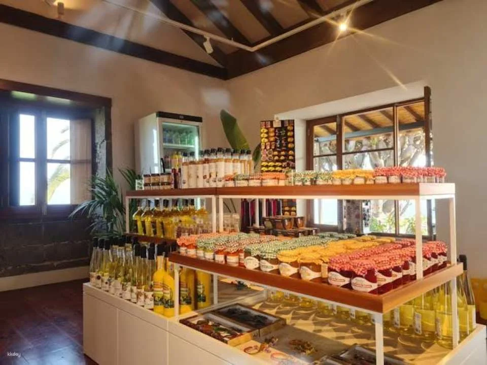 Banana World Guided Tour in Gran Canaria