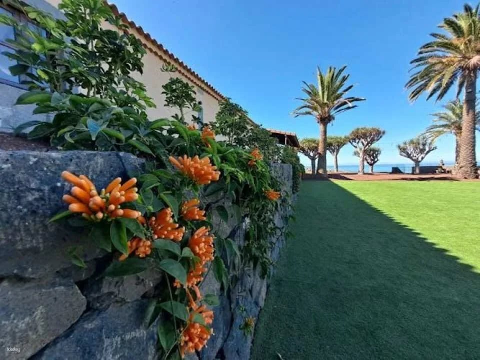 Banana World Guided Tour in Gran Canaria