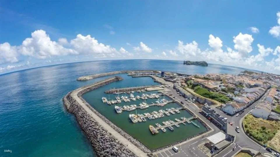 Azores whale watching and Islet boat tour