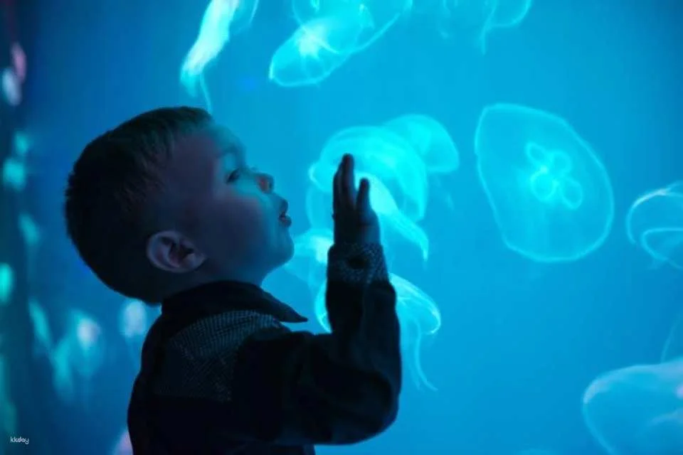 Tickets for Seville aquarium