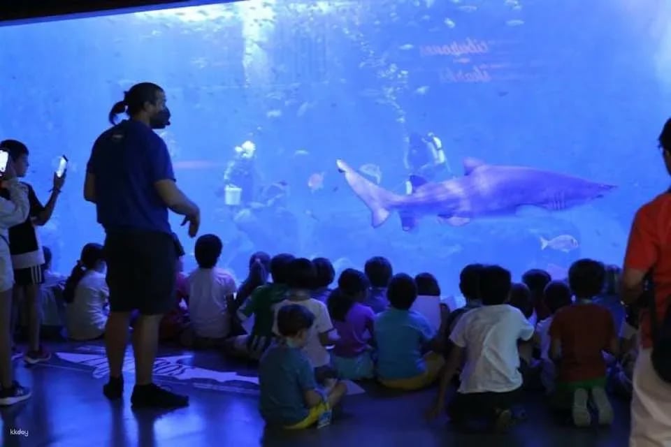 Tickets for Seville aquarium