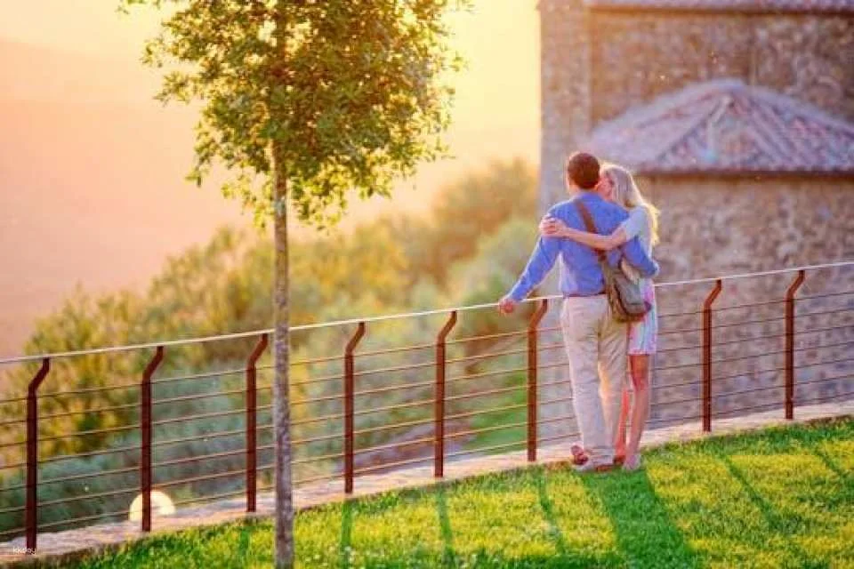 Brunello half-day wine tour from Siena (606708)
